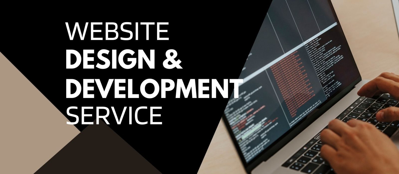 Black and White Modern Application Developer Business Presentation